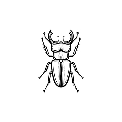 Image showing Beetle hand drawn sketch icon.