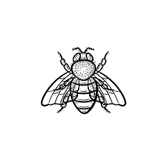 Image showing Fly hand drawn sketch icon.