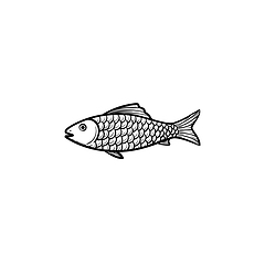 Image showing Raw fish hand drawn sketch icon.