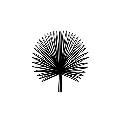 Image showing Spiky palm leaves hand drawn sketch icon.