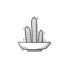 Image showing Cactus in a pot hand drawn sketch icon.