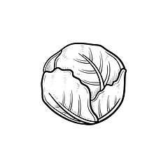 Image showing Cabbage hand drawn sketch icon.