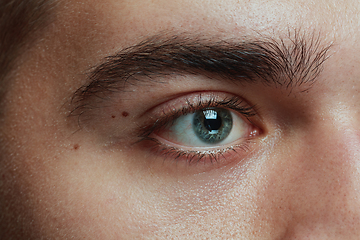 Image showing Close-up portrait of young man isolated on grey studio background