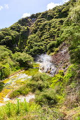 Image showing volcanic activities at waimangu