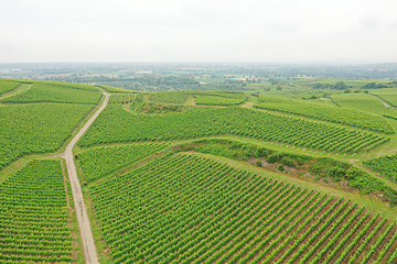 Image showing aerial view vineyard scenery at Kaiserstuhl Germany