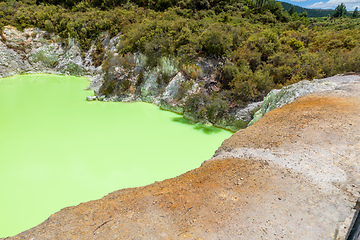 Image showing geothermal activity at Rotorua in New Zealand