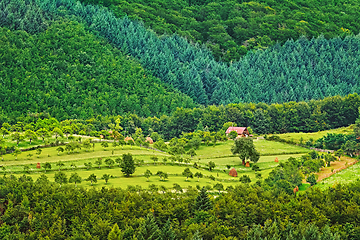 Image showing Agriculture field in Romania