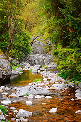 Image showing Mountain river in Rhodope Mountains