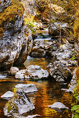 Image showing Mountain river in Rhodope Mountains