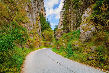 Image showing Road in Rhodope Mountains