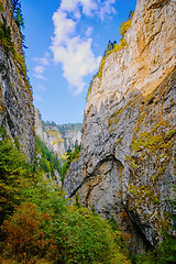 Image showing Rhodope Mountains in Bulgaria