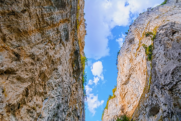 Image showing Rhodope Mountains in Bulgaria