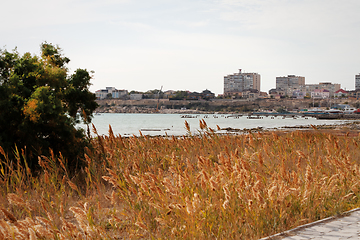 Image showing Autumn coast of the Caspian Sea.