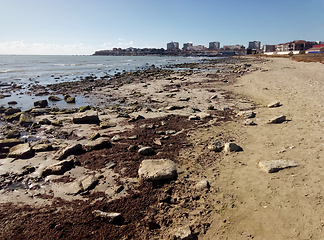 Image showing Rocky coast of the Caspian Sea.