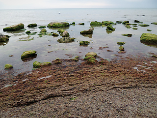 Image showing Sandy stony seashore.