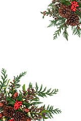 Image showing Winter Christmas and New Year Floral Border