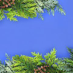 Image showing Cedar Cypress and Juniper Fir Winter Greenery Border 