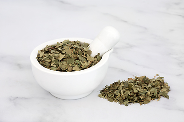 Image showing Dried Birch Leaves used in Herbal Medicine