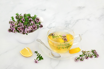 Image showing Thyme Herb Medication for Cold and Flu Virus