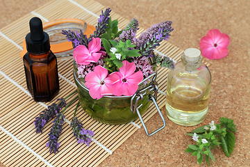 Image showing Naturopathic Herbal Medicine with Flowers and Herbs