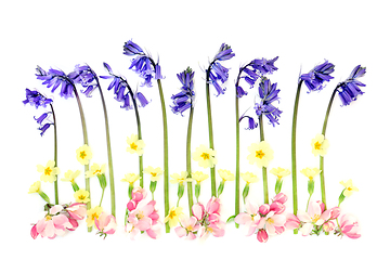 Image showing Abstract Spring Wildflower Composition