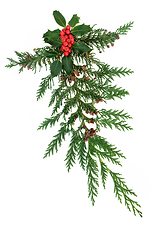 Image showing Decorative Winter Display with Holly and Cedar