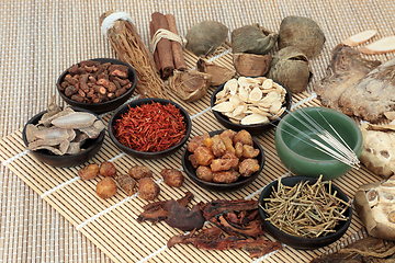 Image showing Traditional Chinese Medicine Treatment