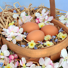 Image showing Eggs at Easter and Flower Composition