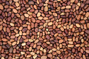 Image showing Dried Fava Beans Health Food