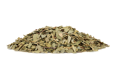 Image showing Boldo Herb Leaves Used in Herbal Medicine