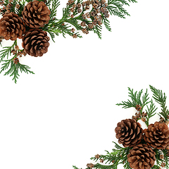 Image showing Cedar Cypress Leylandi and Pine Cone Background Border 