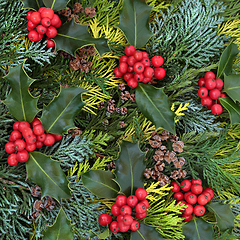 Image showing Cedar Leaf Greenery and Winter Holly Background  