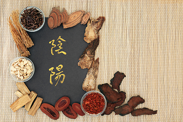 Image showing Traditional Chinese Yin and Yang Herbs