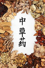 Image showing Chinese Healing Herbs