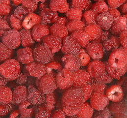 Image showing raspberries