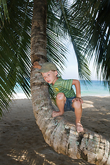 Image showing Boy on palm tree