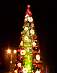 Image showing Christmas tree with blurred lights