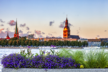 Image showing Urban flower pots with Riga old town skyline