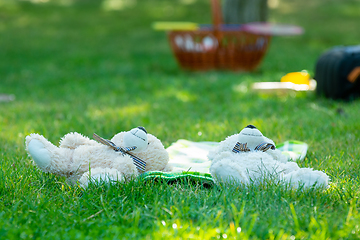 Image showing Two plush toys lie on their backs on the green grass