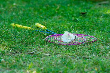 Image showing On the green grass are badminton rackets and a shuttlecock