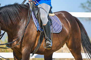 Image showing The rider sits on a horse, a view of the saddle and stirrup