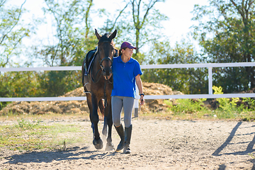 Image showing Girl after everyday equestrian training goes across the field with a horse