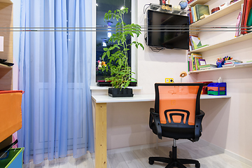 Image showing Writing desk in the children\'s room, view of the shelves for school books