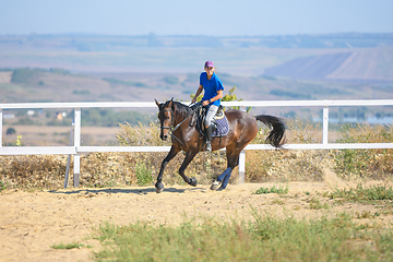 Image showing A girl on a horse ride rides a horse in the corral