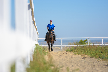 Image showing Girl rides a horse on a paddock on a farm