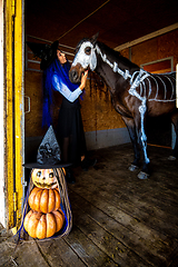 Image showing A girl dressed as a witch looks at a horse on which a skeleton is painted in white paint, in the foreground is an evil figurine of pumpkins