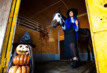 Image showing A girl dressed as a witch comes out of the corral with a horse, in the foreground an evil figure of pumpkins