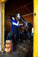 Image showing A girl dressed as a witch stands in a corral with a horse on which a skeleton is painted in white paint, in the foreground is an evil figurine of pumpkins