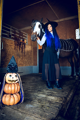 Image showing A girl dressed as a witch happily hugs a horse in a corral, in the foreground an evil figure of pumpkins