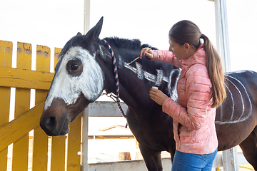 Image showing Girl with watercolors paints a skeleton on a horse